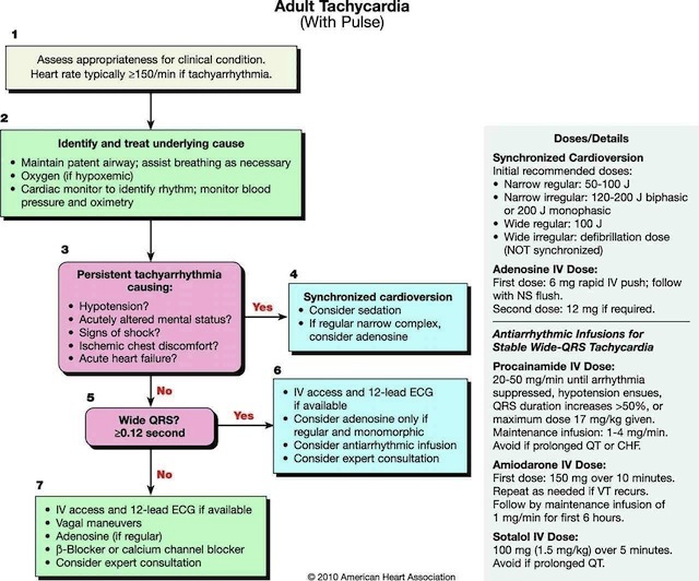 Description: Image result for tachycardia algorithm 2015